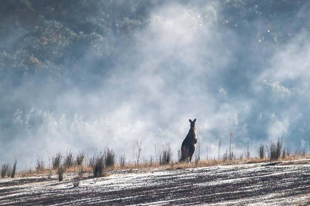 Australia – gdzie spędzić wakacje?
